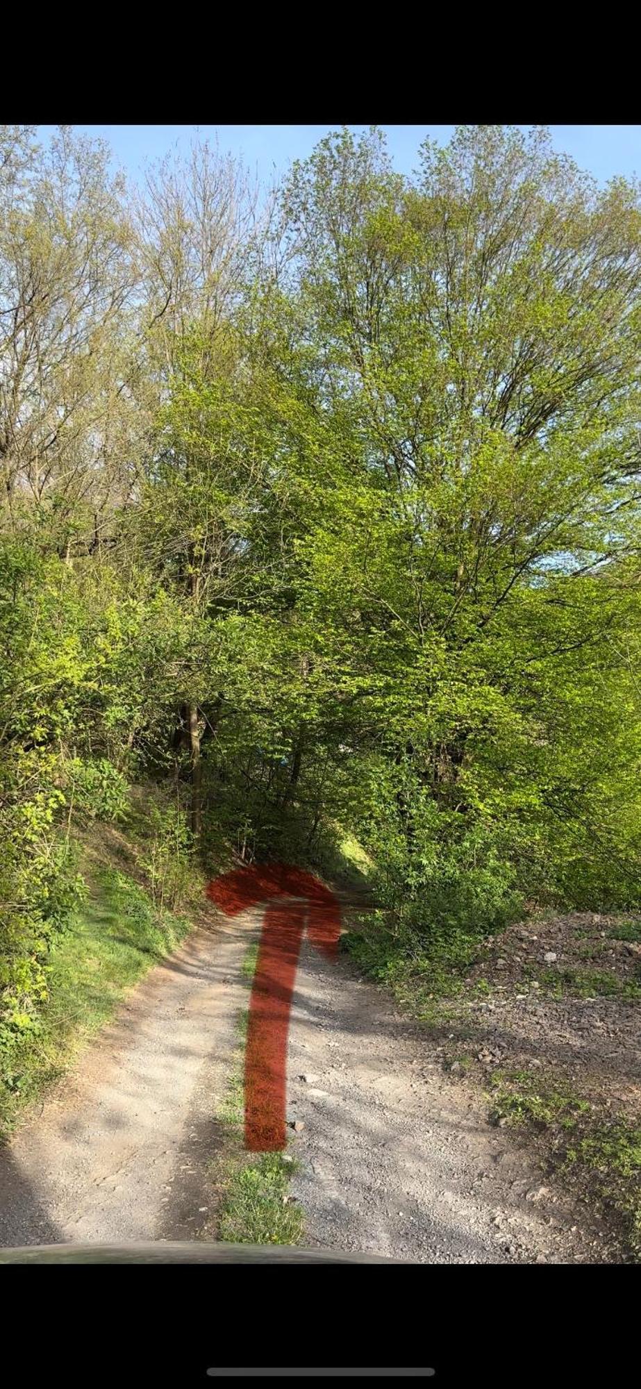Chata Marketka Křivoklát Dış mekan fotoğraf